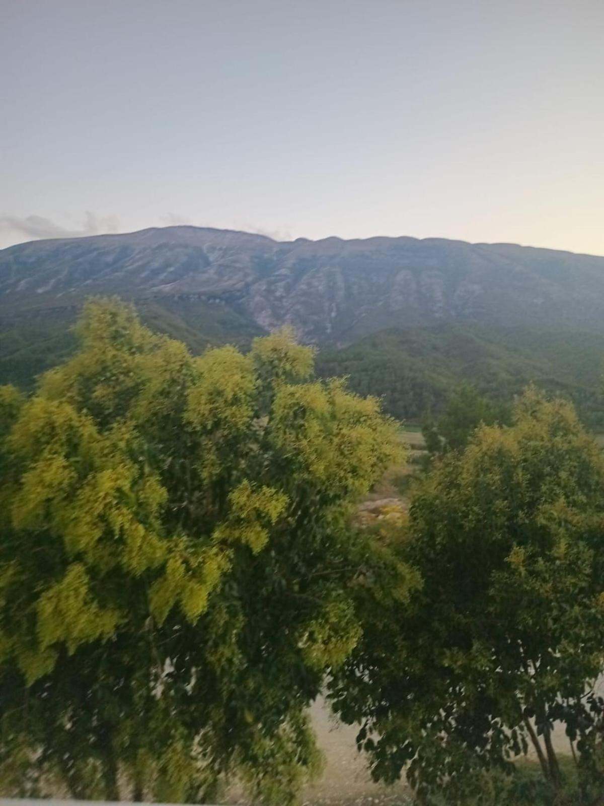 Hotel Eno Πρεμετή Εξωτερικό φωτογραφία